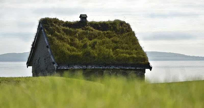 Green roofs